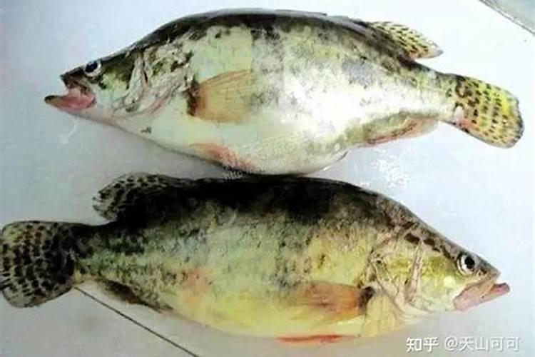 氮磷钾复合肥是什么样的