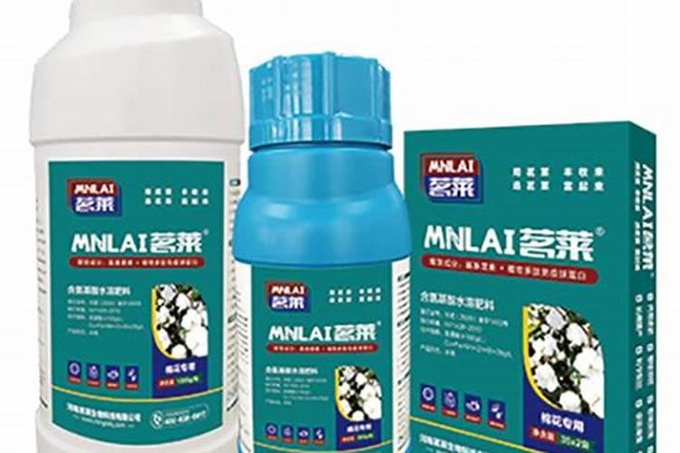 草莓各个时期的施肥方案 什么时候冲高磷肥