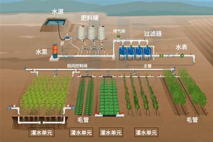 如何科学施用水溶肥？