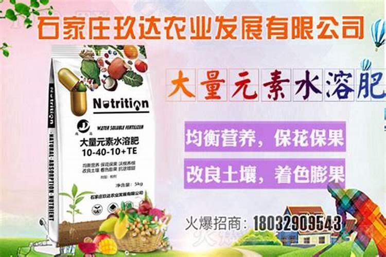 兰花如何用硼肥