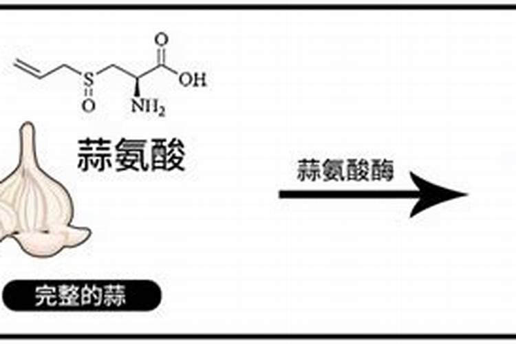 大蒜专用肥配方