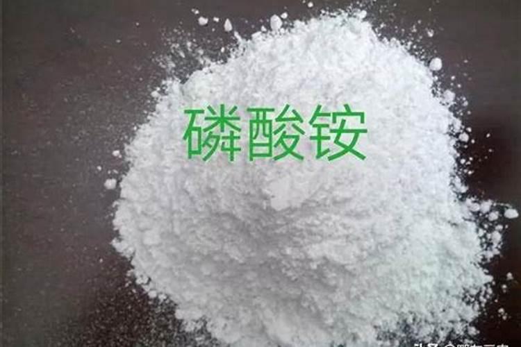 氮肥对植物的作用 氮肥对植物有什么作用
