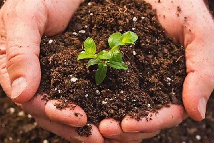 给庄稼施肥的作用主要是给植物的生长提供无机盐.