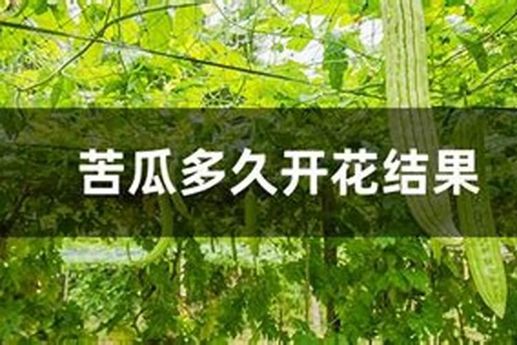 氮肥是什么肥料