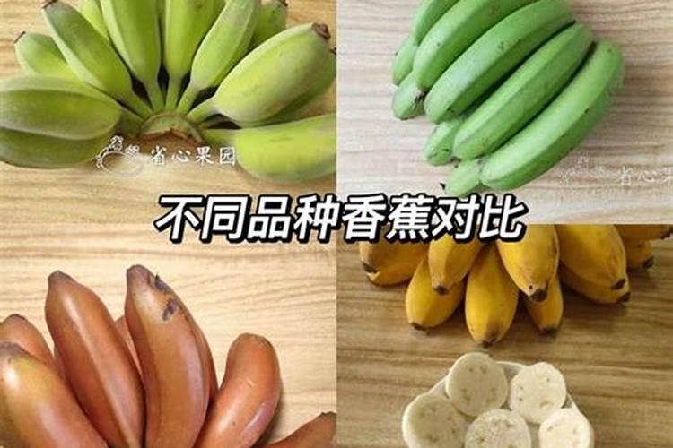 水果一般要施什么肥料才更甜？