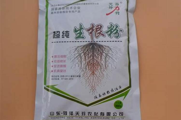 水培蔬菜生根肥有哪些？