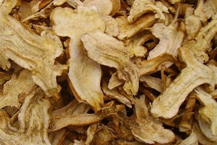 种白术用什么肥料最好