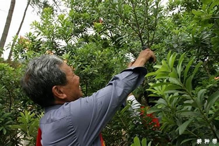 铜仁有什么工厂吗？