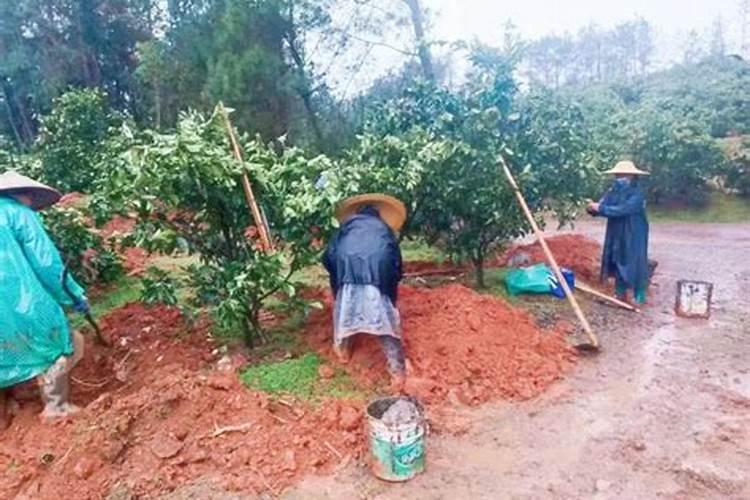 有机肥氮磷钾含量表 总养分怎么算