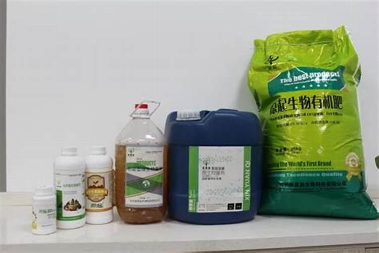 折耳根种地里一个月可以吃了吗？