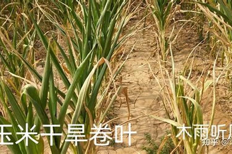 化肥用什么做的