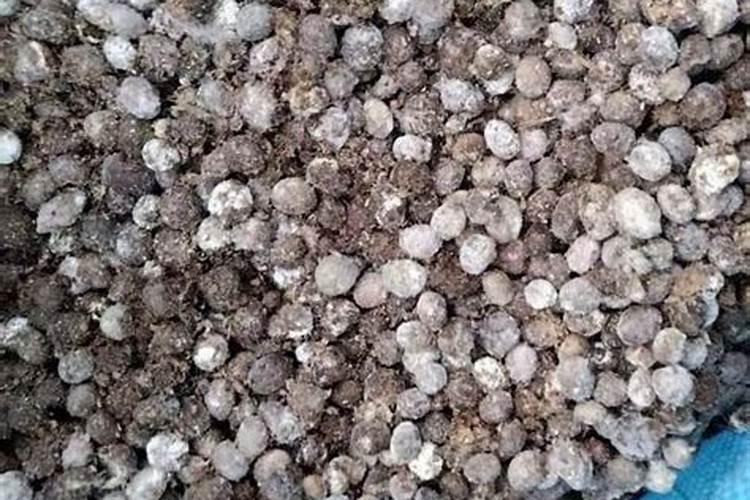 山东乐悠悠花生油科技有限公司怎么样