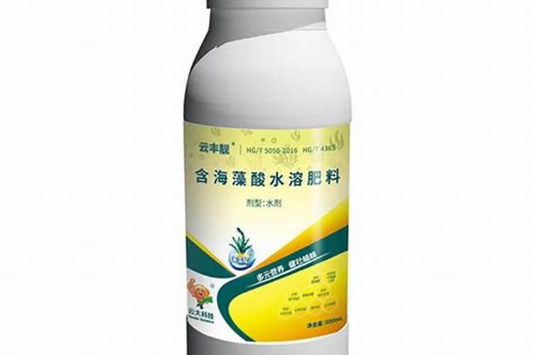 葡萄树怎么施肥