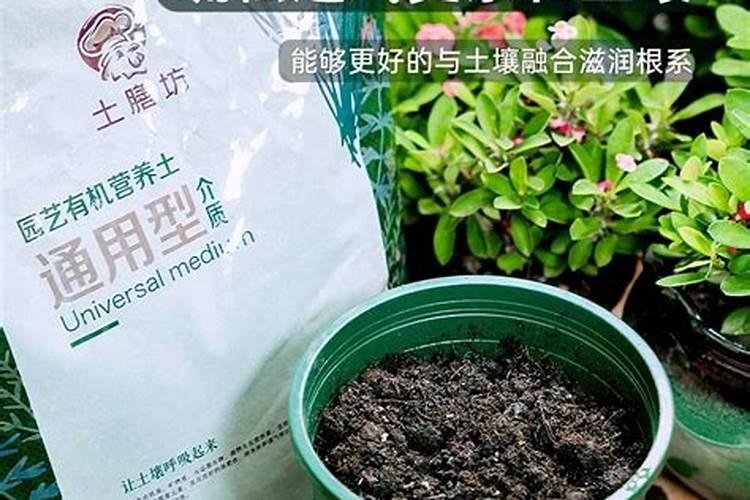 磷酸二氢钾搭配什么能让作物根系块速生根发达