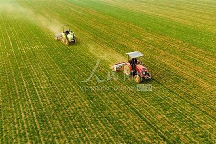 春耕种植注意哪些事项