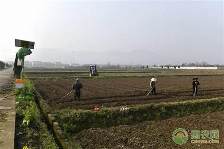 耕耘土地有哪些生肖