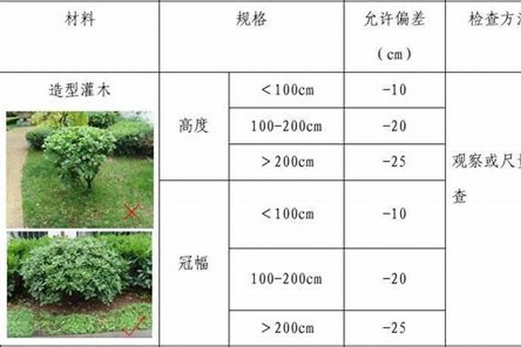 苗木种植一般用什么肥料