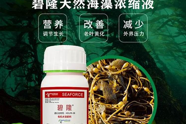 水溶肥知名品牌有哪些？