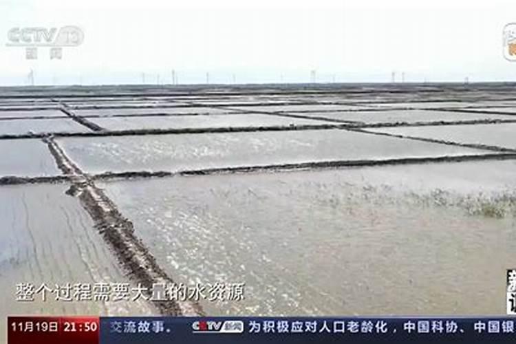 怎样改良土壤的碱性