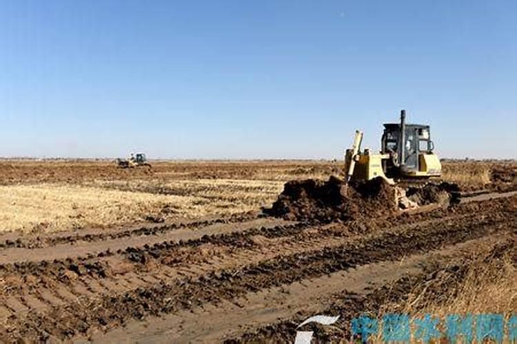 适合盐碱地改良的磷肥