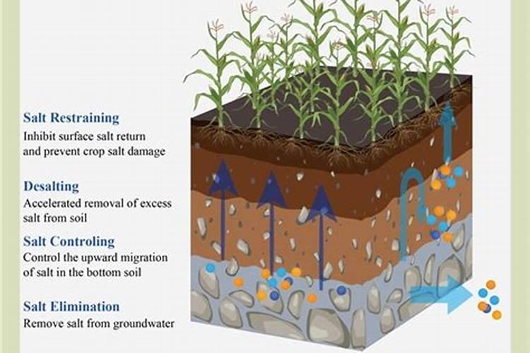 给农作物施草木灰是补充什么的