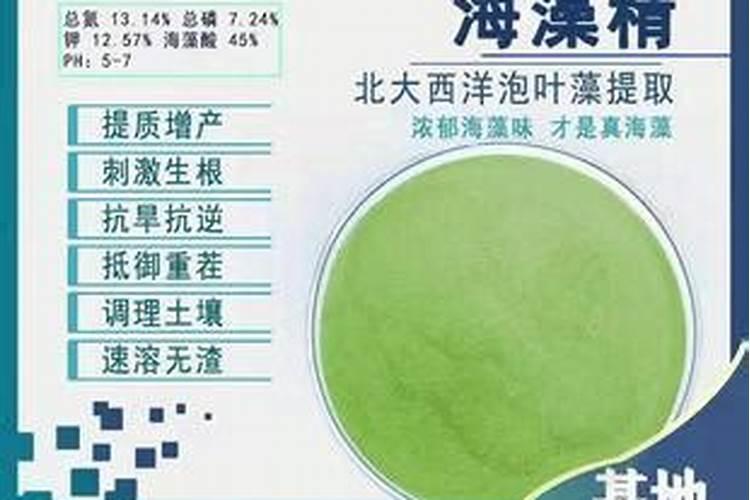 黑龙江省浩良河化肥厂现在的生产规模是多少？