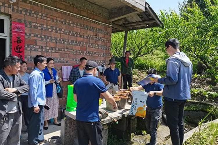 天堂鸟施肥需施什么肥料