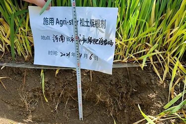 微量元素肥料在果树上的最佳使用方法