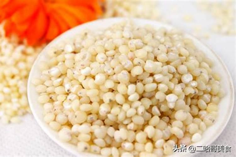 月季生长缓慢是什么原因造成的 怎么解决