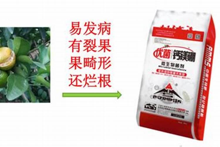 镁肥的效果及使用方法