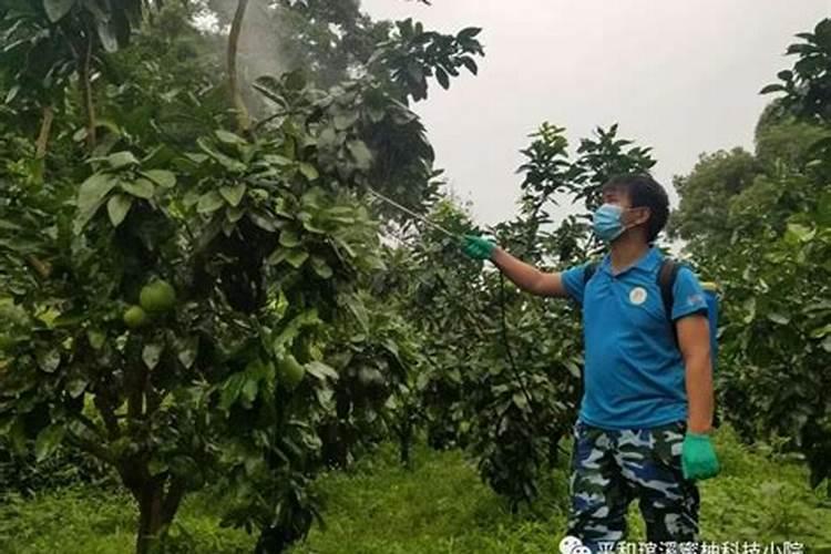 硼锌铁镁肥多久用一次,怎么使用