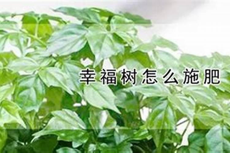 请问谁可以告诉我关于化肥生产工艺的知识! 谢谢～～