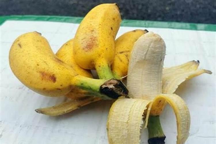 香蕉对钾肥的需用量是每公顷多少