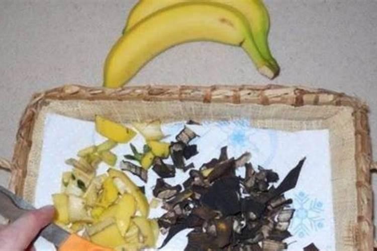 烂香蕉肉怎么制作花肥,香蕉肉烂了可以做肥料吗