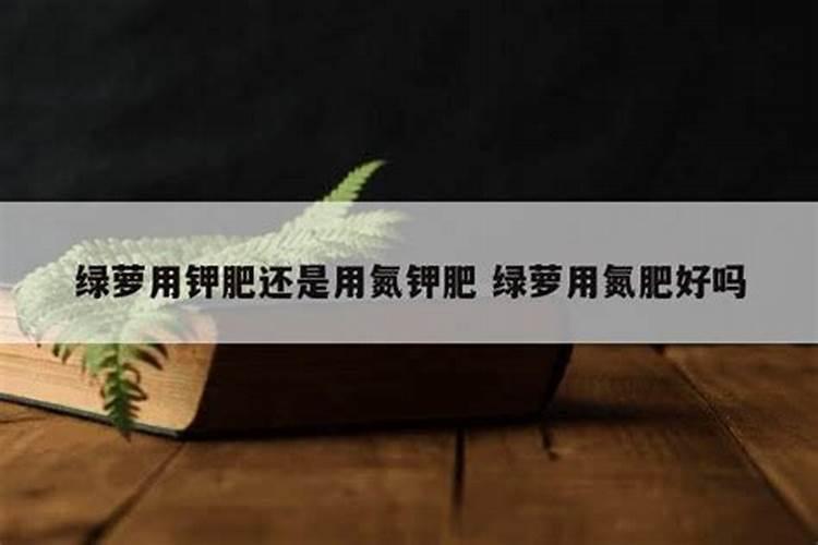 麦冬草喜阴吗？