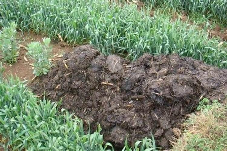 为什么钾肥施用的方法不对,会造成浪费严重？