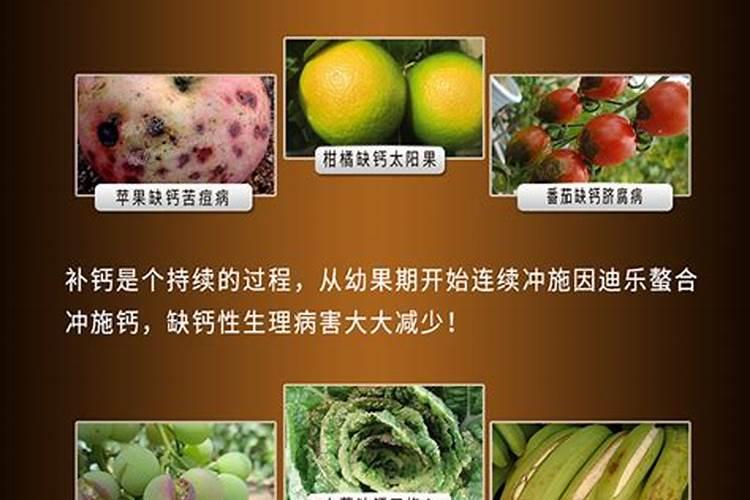 芸苔素内酯和复硝酚钠哪个好(两者有什么区别)