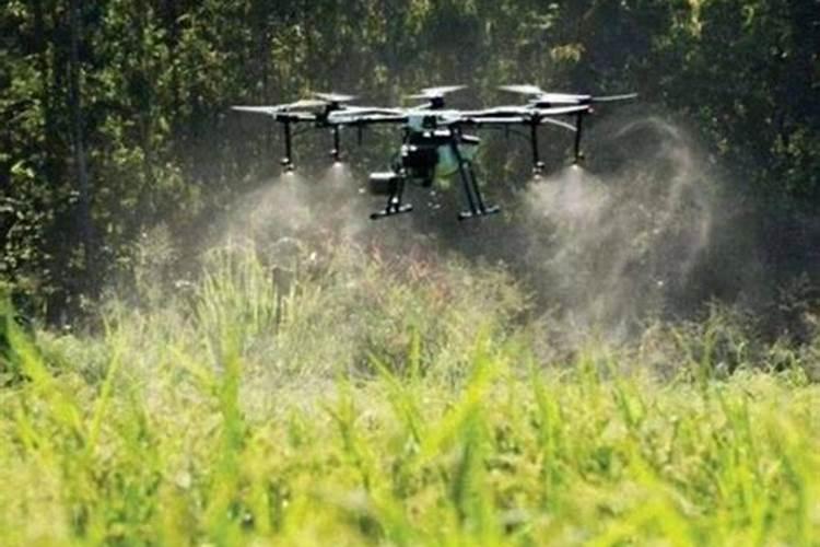 大豆田有露水打叶面肥可以吗