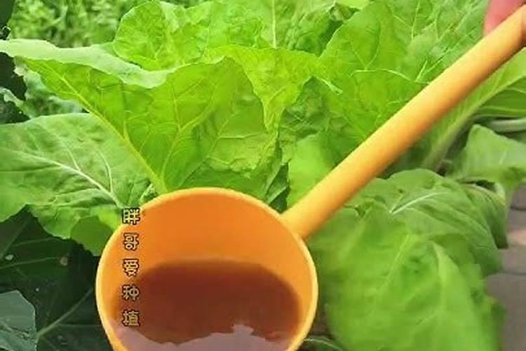 钙肥的使用方法和功效