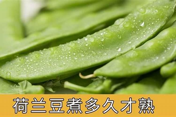 荷兰豆多久施肥一次