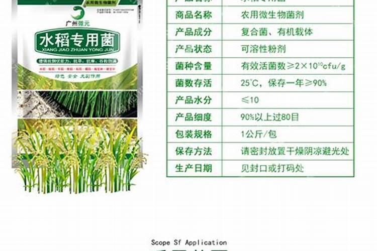 芸苔素内酯、硼肥、磷酸二氢钾在小麦上到底如何用？