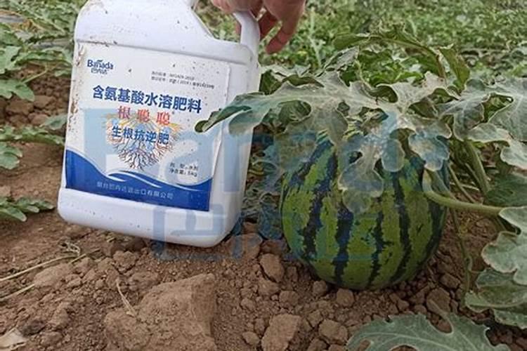糖醇钙可以和磷酸一铵混用吗？