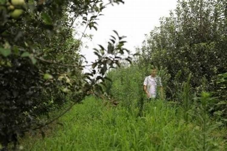 如何选择优质的碳酸钙粉 碳酸钙粉生产厂家怎么选