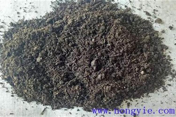 不施钾肥小麦能减产多少