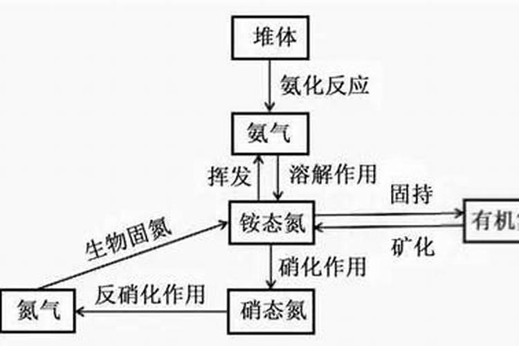 自制氮肥有哪些
