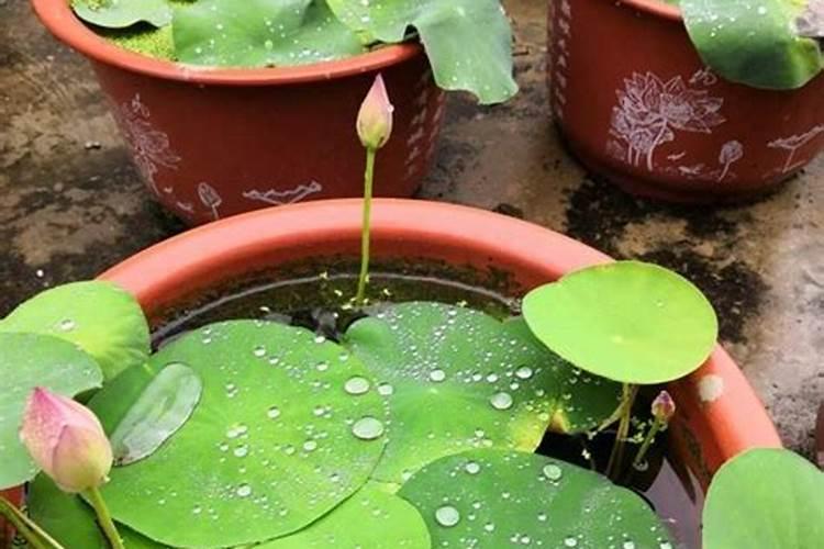 氮气不会爆炸吗