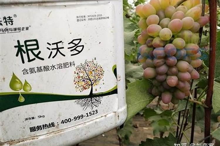 进口十大水溶肥品牌