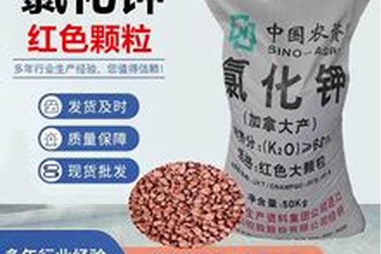 钾肥最适用哪些作物