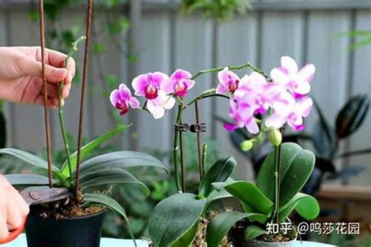 水溶肥料是什么原料做的 水溶肥原料等级划分