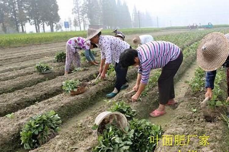 1吨车用尿素液是多少升